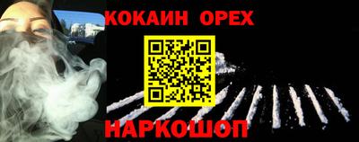 гашик Гай