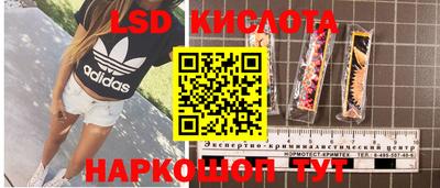 каннабис Гатчина