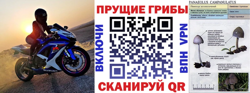 Псилоцибиновые грибы Magic Shrooms  где можно купить наркотик  Большой Камень 